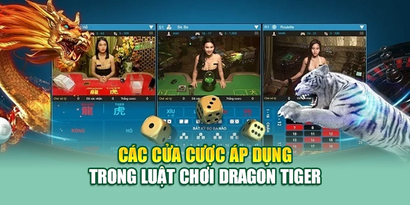 Các cửa cược áp dụng trong luật chơi Dragon Tiger