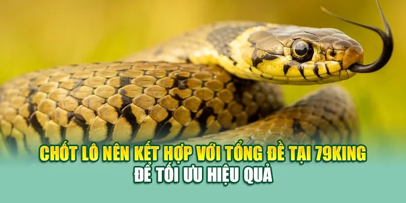 Chốt lô nên kết hợp với tổng đề tại 79King để tối ưu hiệu quả