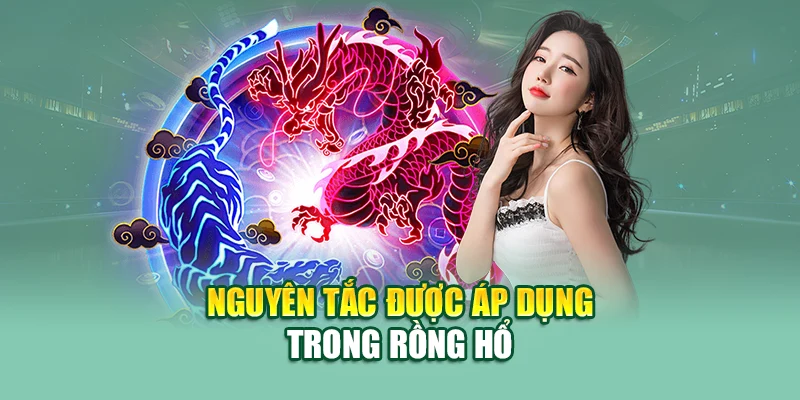 Nguyên tắc được áp dụng trong rồng hổ