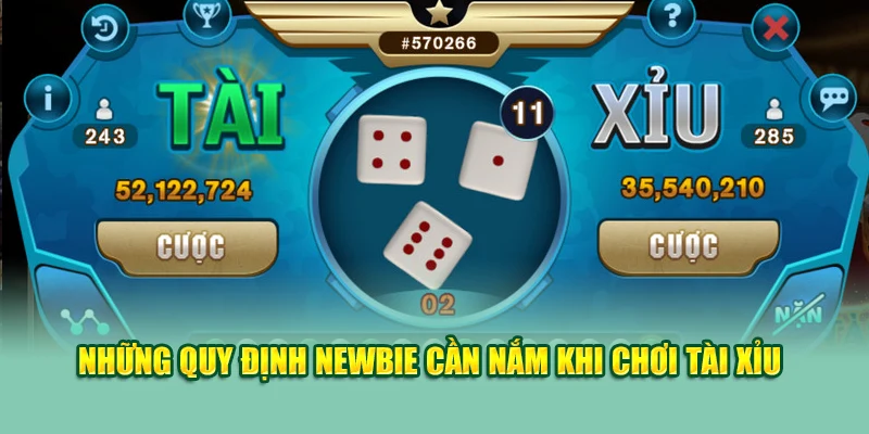 Những quy định newbie cần nắm khi chơi tài xỉu